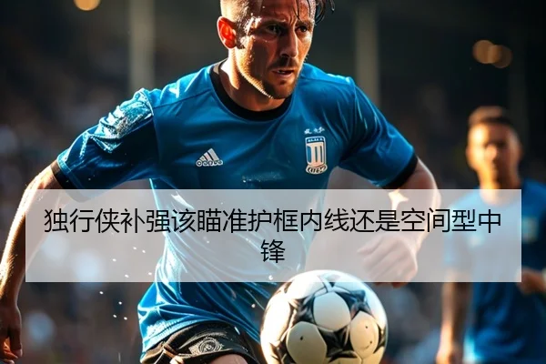 独行侠补强该瞄准护框内线还是空间型中锋